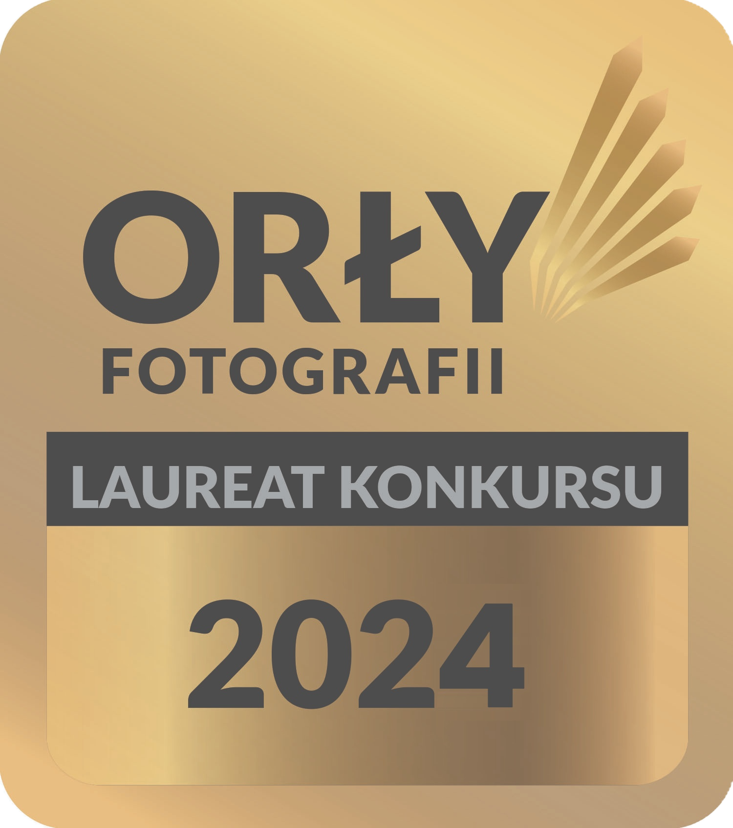 Odznaka Orły Fotografii 2024 - Tamila Mariak, Szczecinek